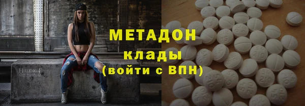 прущие грибы Осташков