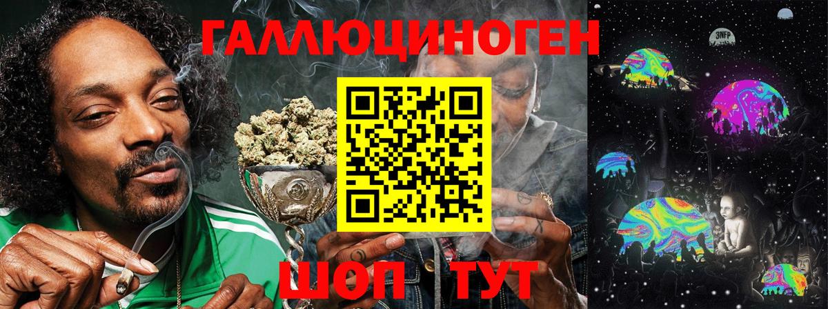 Галлюциногенные грибы Psilocybe Томск